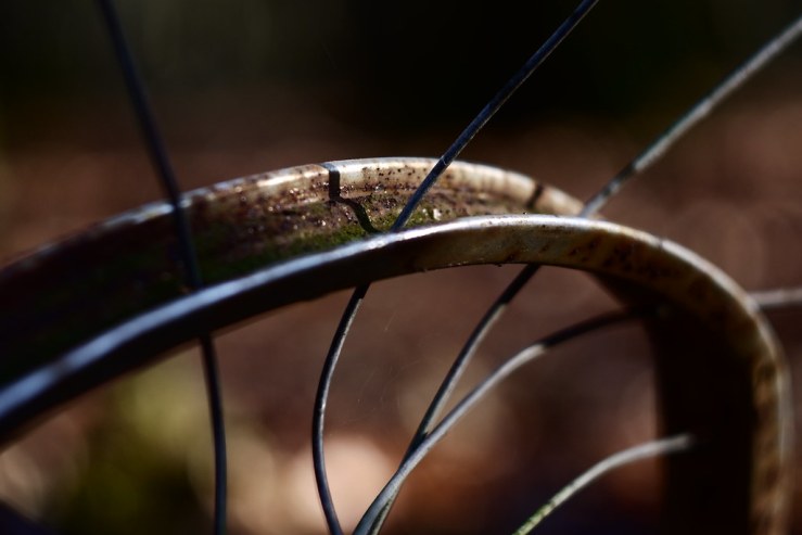 45058968685_e988c024ed_b