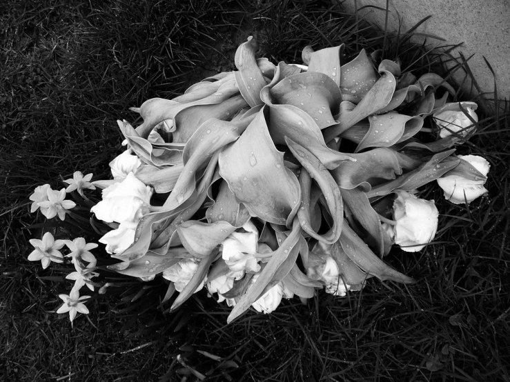 47245773352_47615370b4_b