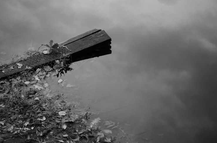 48860488593_d9e3b3e60d_b