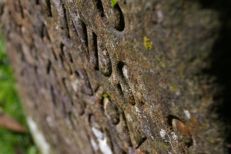 49003011202_fbc021bc55_b