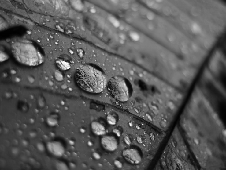 49111298043_75839a901c_b