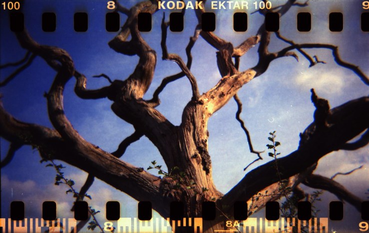 8051310678_5381a07f17_b