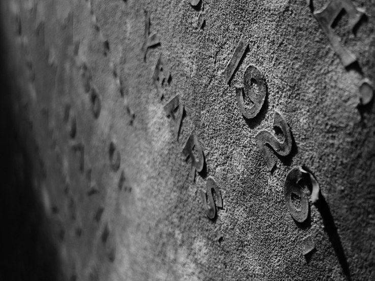 49149824308_2a99a95d50_b