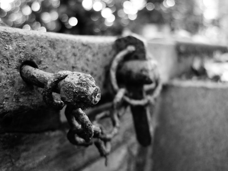 49164582626_c63dc2a2f8_b