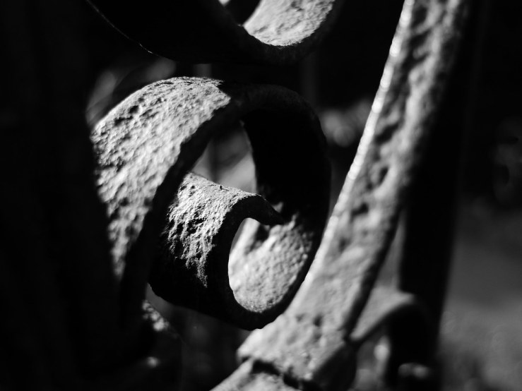 49213934573_ea2fe7c424_b