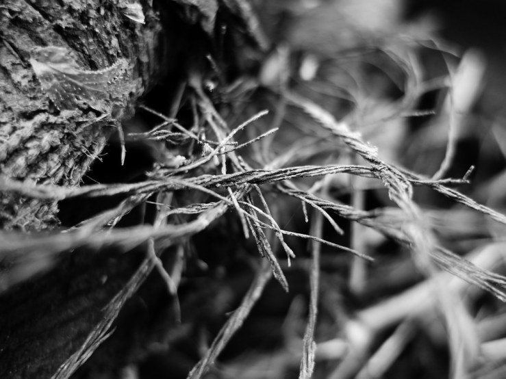 49214995672_34d7d58d67_b-1