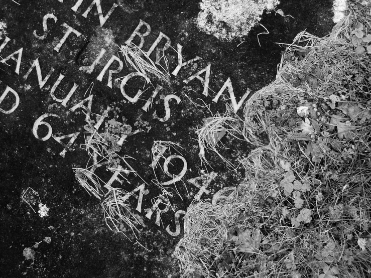 49294816336_6b2a1087f6_b