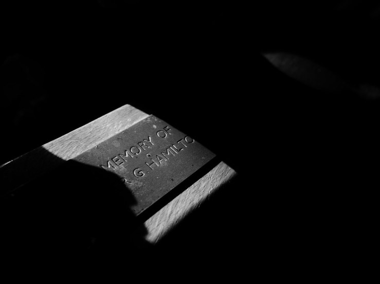 49306511626_a5a71ea5fa_b