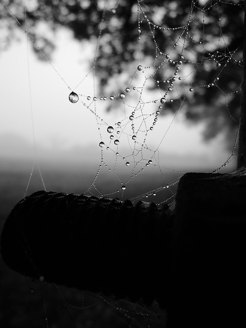 6368986719_5b106066c3_z