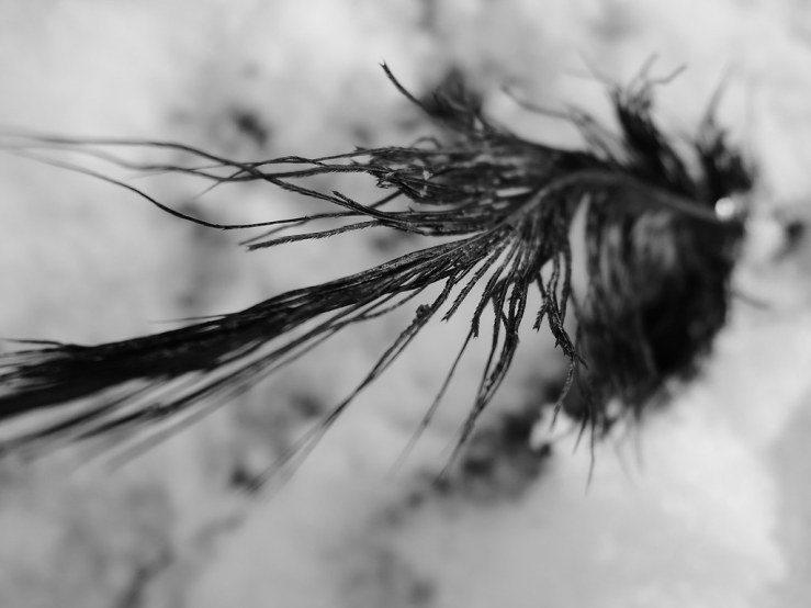 6851827829_1f5cf9bb57_b