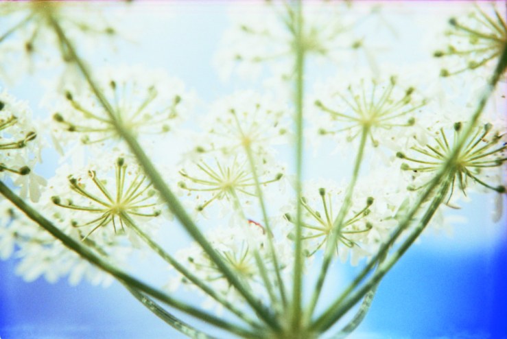 7872336196_fa9eeee29e_b