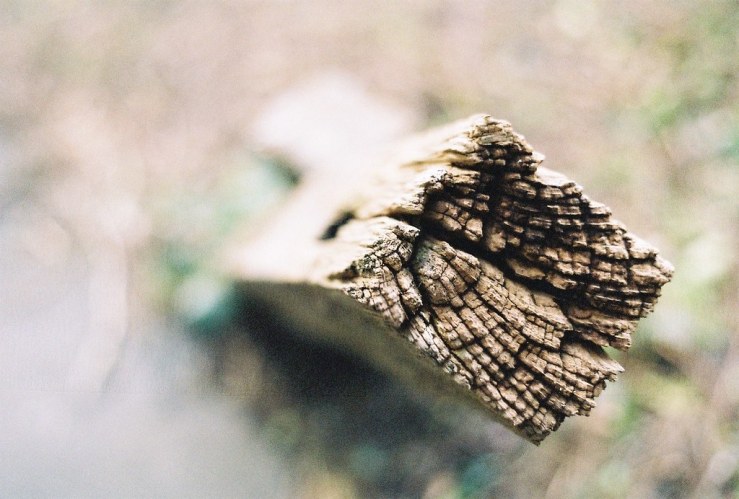 24151686844_efb06e3a89_b