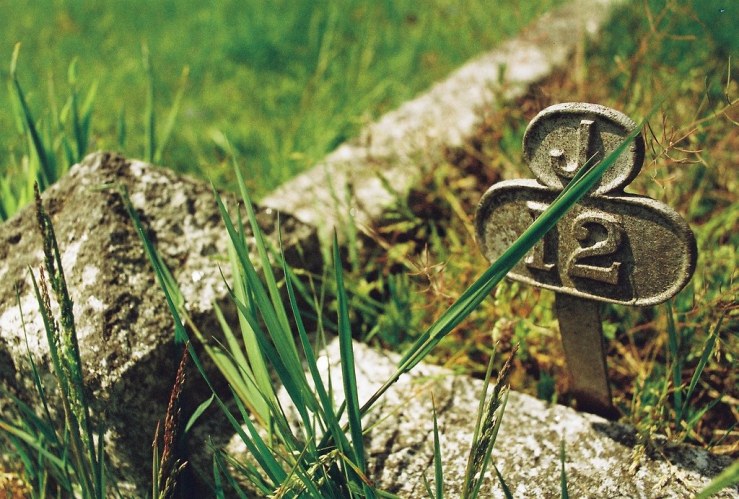 27468386152_de98f4e40c_b