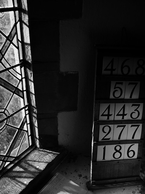 49318292147_2f3c6b8db3_z