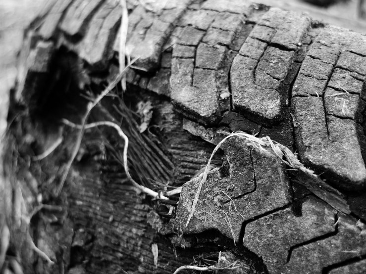 49346726482_d706570e97_b