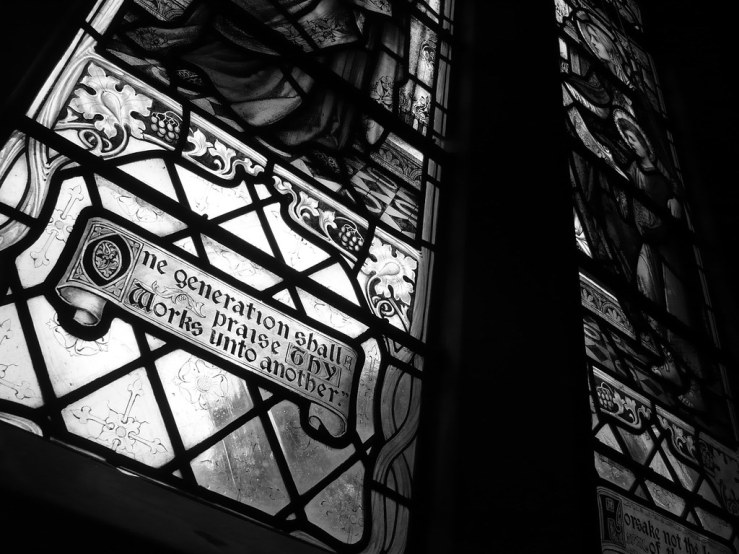 49385314613_72ca4f716f_b