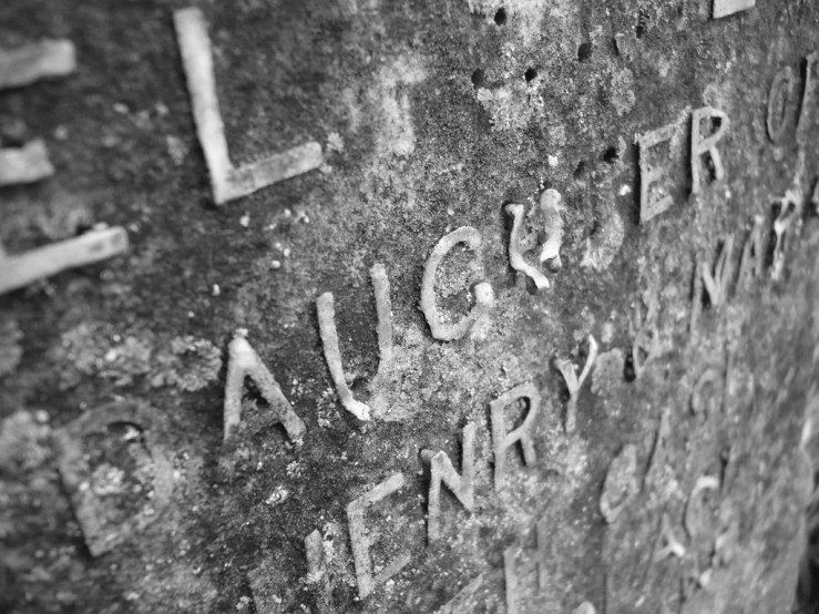 49385783381_8bee1584f9_b