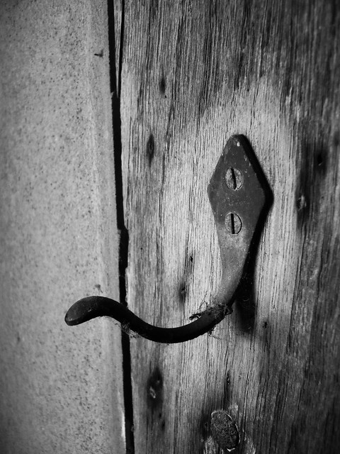 49433541043_c42a9b48f0_z