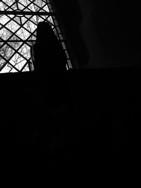 49440193383_058eb9cb7b_z