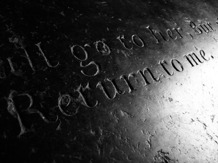 49440665181_9db0564997_b