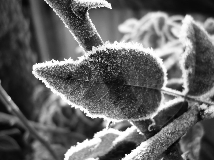 49440665336_709759decb_b