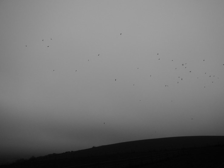 6334321613_2eeb030a89_b