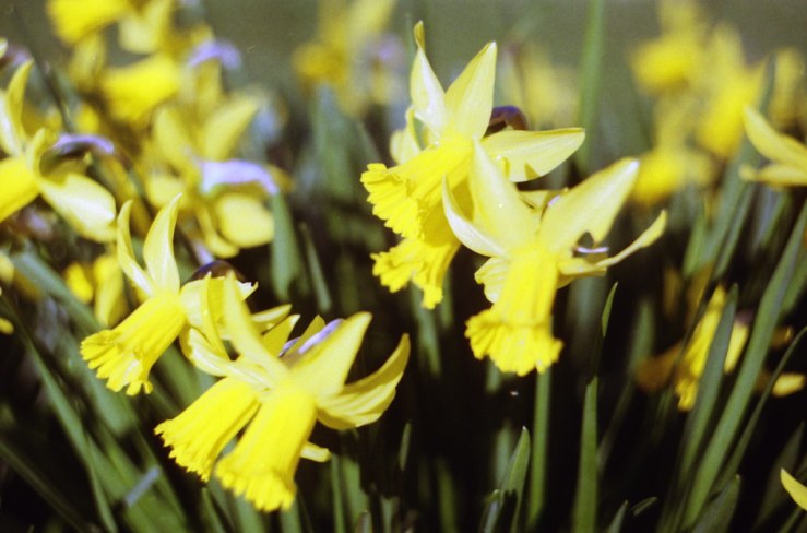 13950500596_b5dd296bb6_b