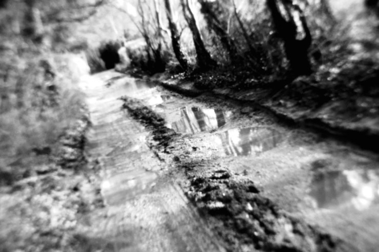 40235847594_2bd0e24349_b