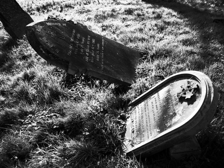 49472729746_529ce84c3a_b-1