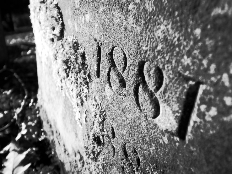 49472951647_b3419f3d7d_b