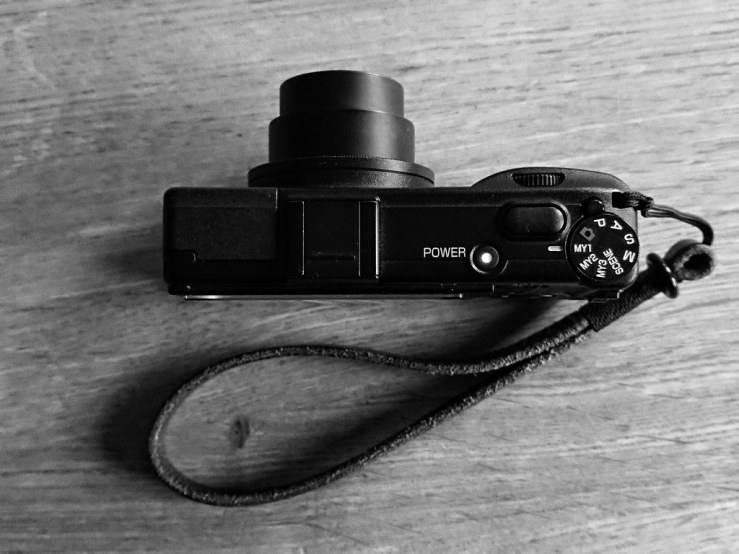 49473761351_df511c2cc3_b