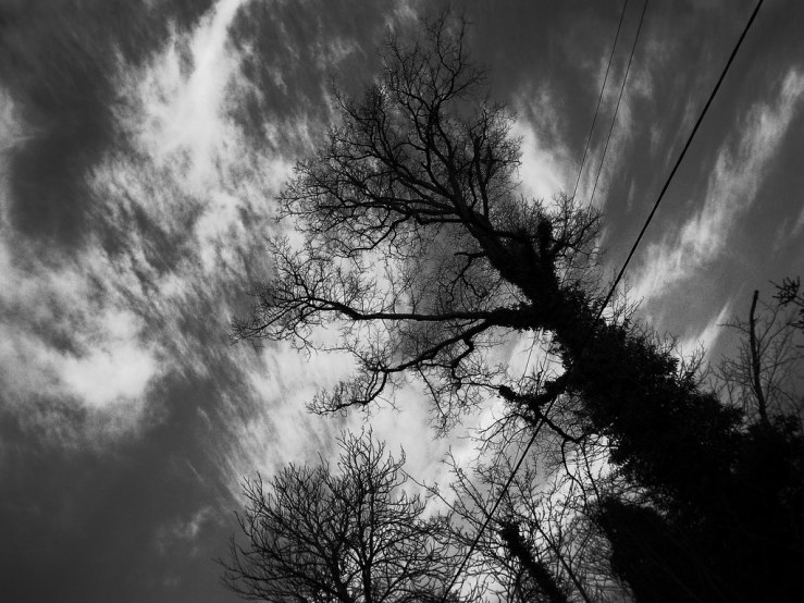 49488629246_0f669909c5_b