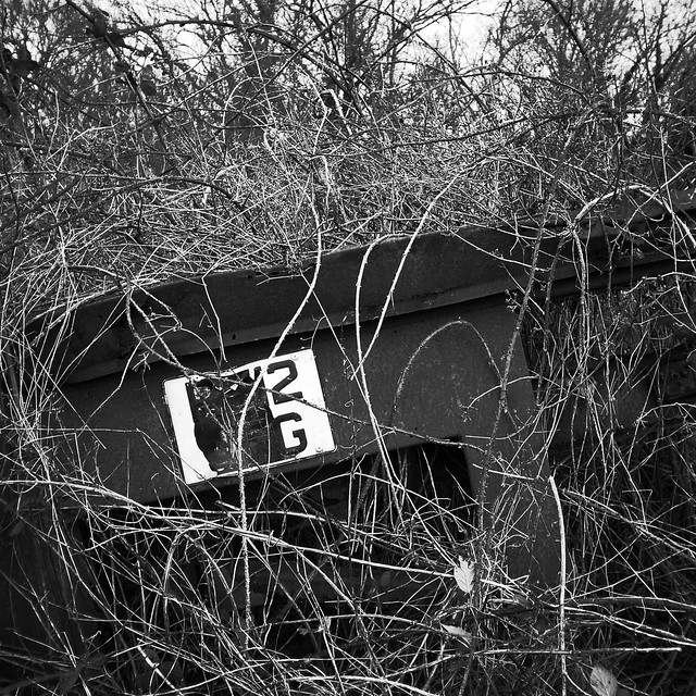 49516862463_7d5e6d7074_z