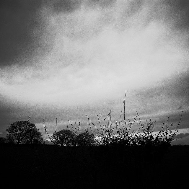 49517387616_45a3357fb7_z