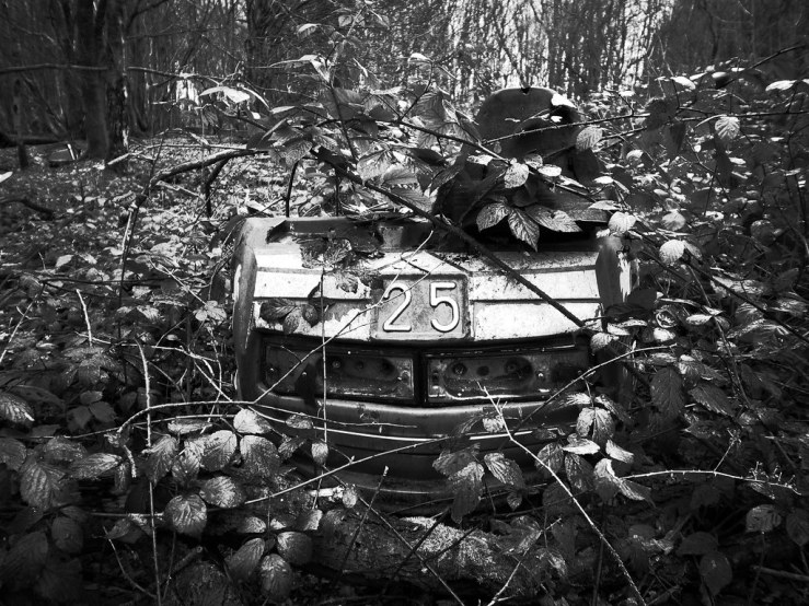 49564779993_837d5b8b63_b