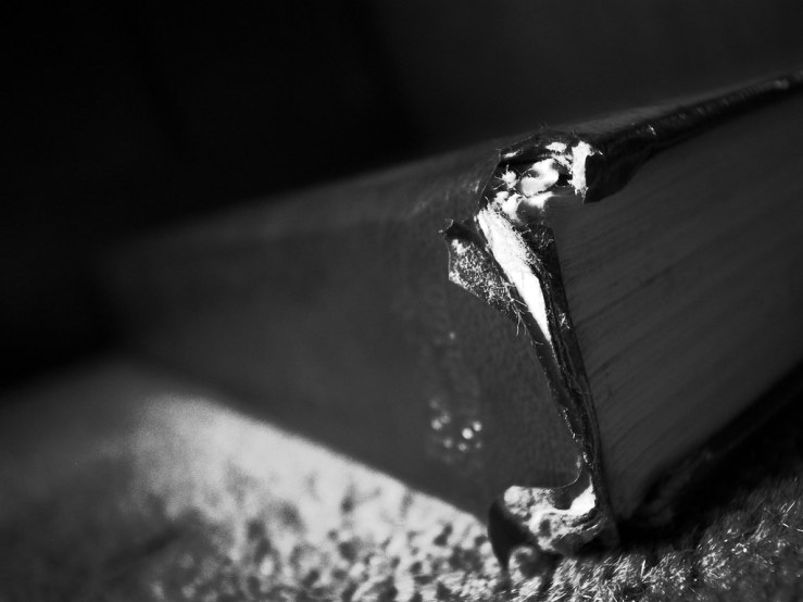 49565519342_87074e45df_b