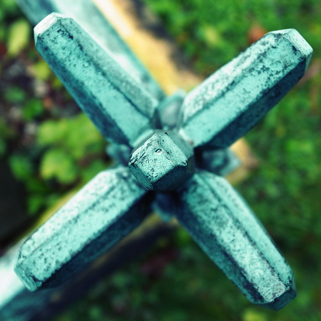 49599731983_cf86ff328b_z