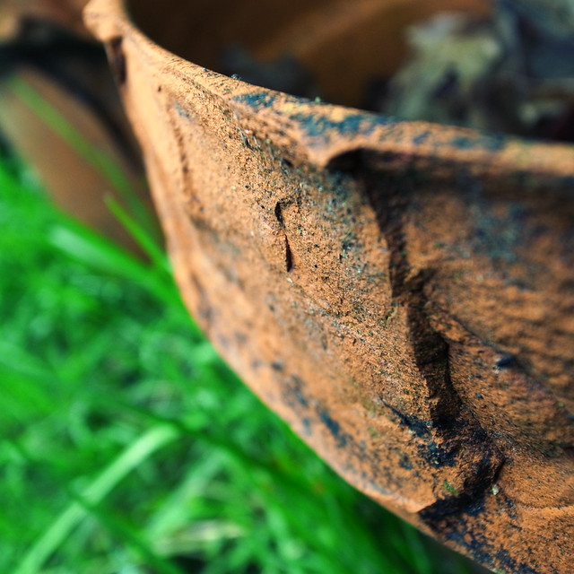 49600228586_b0e3496d8e_z