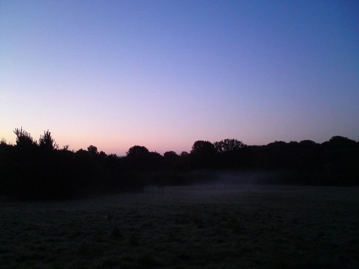 5584758751_eea8208ff1_b