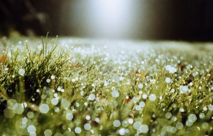 13441128133_56558acc92_b