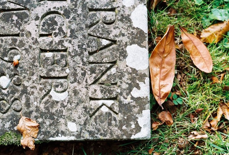 22729273966_10aee24a36_b