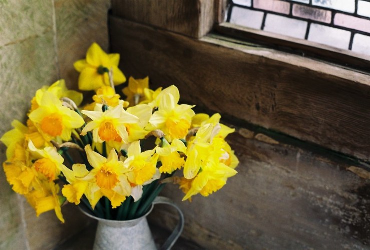 27039186522_6f7fc4a8b8_b