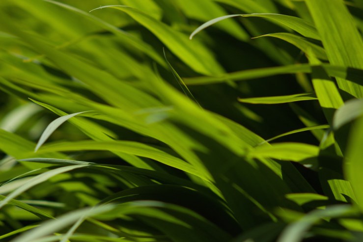 34504257664_b363ff4152_b