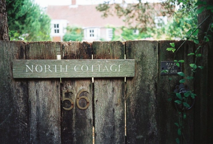 36311388241_02daf129c4_b