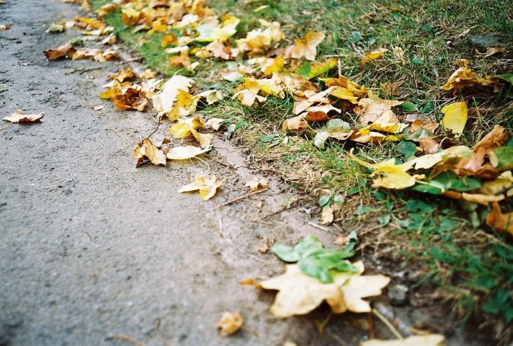 36311388451_3b7ae33281_b