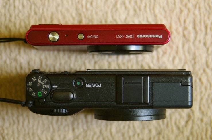 49614814746_253b4b3041_b