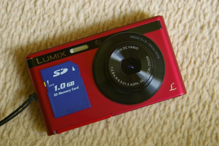 49615075382_dc4ed68e89_b