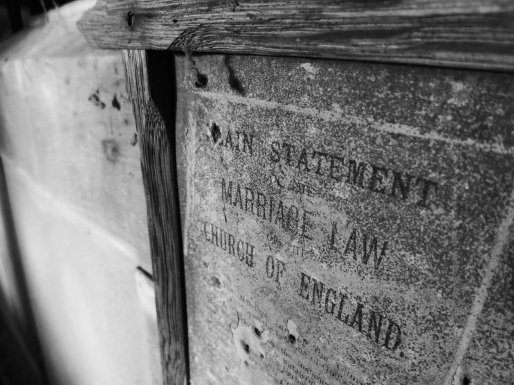 49615106791_93df380f4b_b