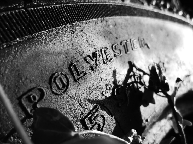 49615364837_62e961d9f2_b