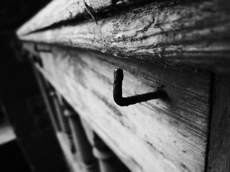 49640882311_0a962117f9_b